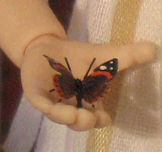 A close up of the Red Admiral butterfly caught by Ambrose in the churchyard.